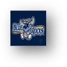 Wilmington Blue Rocks